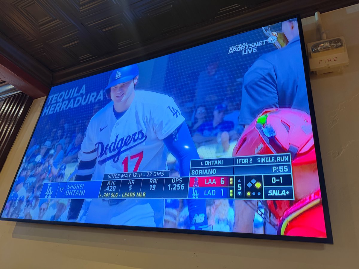 graceechoi's tweet photo. Wooooooow the @dodgers jerseys are sooooooo cooooool 😁🐶 me and puppy want a matching @LosDodgers jersey 😁🐶🫶🏻⚾️🗽🇺🇸

It’s #76 @alexfreeland10  and #17 Shohei Ohtani!!!!!!!! Gooooooo @dodgers!!!!!!! Let’s go @LosDodgers 😁😄🐶🫶🏻⚾️🗽🇺🇸🙏🙏🙏🙏🙏

@StanfordBSB ⚾️🇺🇸💕💕💕💕💕💕it’s okay if I get one @dodgers and wear it once a week instead of @StanfordBSB ⚾️🇺🇸💕💕💕💕💕???? Okay, once every 2 weeks??? 😁🙃🥰🐶💕💕💕💕💕💕