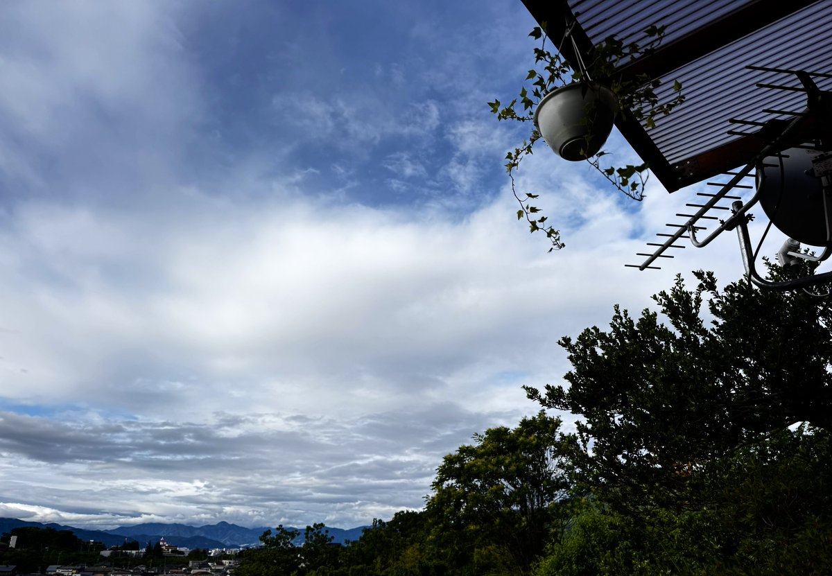 cjjfish's tweet photo. おはようございます(^-^)

今朝は少しだけ青空がのぞいています。夕方からまた雨の予報です。梅雨入りだものね

週末ハードだったので昨夜はバタンキュー。珍しく途中で起きることなく７時間熟睡でした。歳をとるとこういう良眠がとても貴重なのよ〜 https://t.co/EGQSFkJk4N