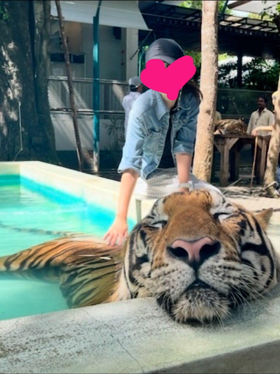 ohitolisa's tweet photo. パタヤの巨大金山からのUSJでスモークサーモン
そして心斎橋アルパカジノw https://t.co/QsRBYqj7ak