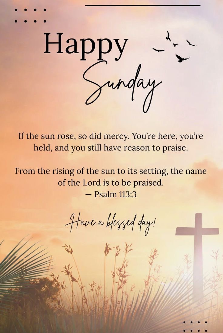 OrphanageGiving's tweet photo. Wishing everyone a blessed &amp; peaceful Sunday! 🫶
We are endlessly grateful for the immense love, kindness, and support you show every single day. We truly could not do this vital work without you.
The journey continues, we still need your support to make a lasting impact. 🙏 https://t.co/Kn3q7ULfcd
