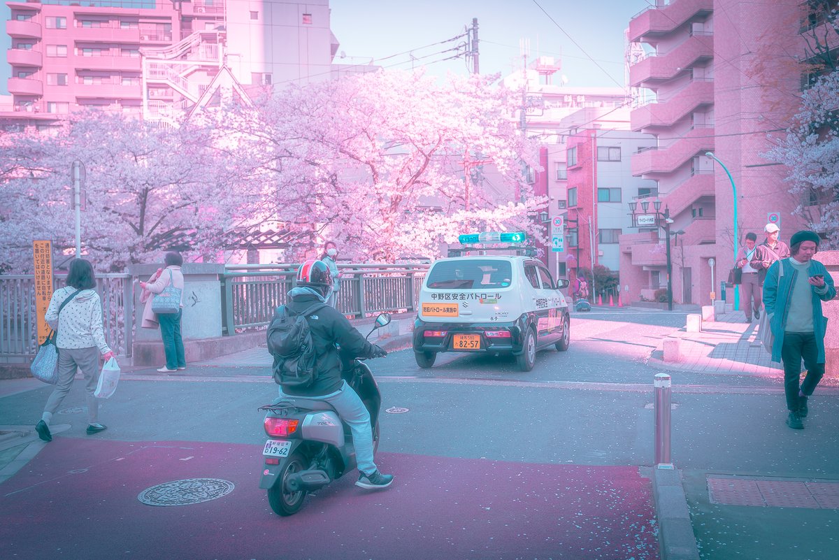 TOKYOLUV's tweet photo. caught something in Tokyo https://t.co/pFeRFP1ZPG