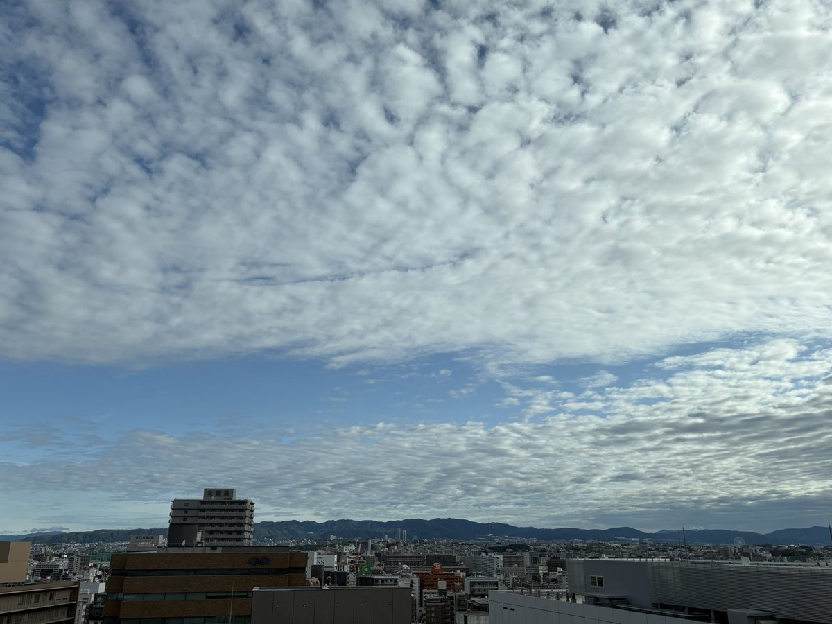 Ko_Honam's tweet photo. さて今週は昨日から来ている大阪にて始業。

昨日は雨だったけど今朝はいい天気。 https://t.co/zp8SQX5f7Y