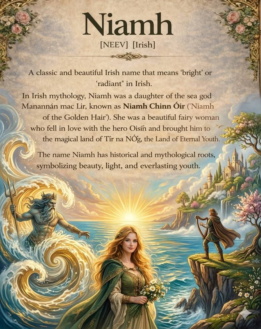 ThisIsIreland3's tweet photo. Irish name and their meanings 🇮🇪💚
#Niamh #Ireland #Irish #Irishnames https://t.co/54IUf3xrbd