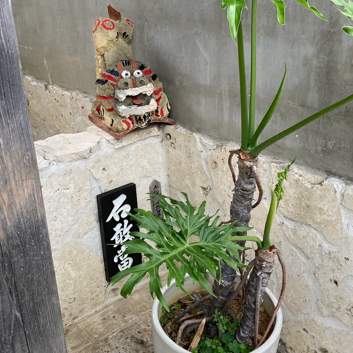 himatrip55's tweet photo. 狛犬さん？

#ひまとりっぷ
#狛犬さん
#シーサー
#石垣島 https://t.co/48qdGkTbK4
