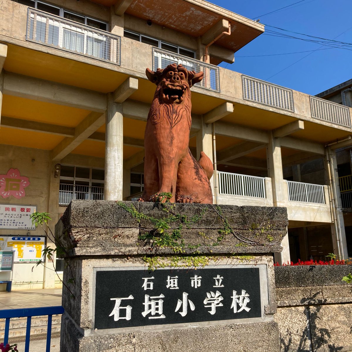 himatrip55's tweet photo. 狛犬さん？

#ひまとりっぷ
#狛犬さん
#シーサー
#石垣島 https://t.co/48qdGkTbK4