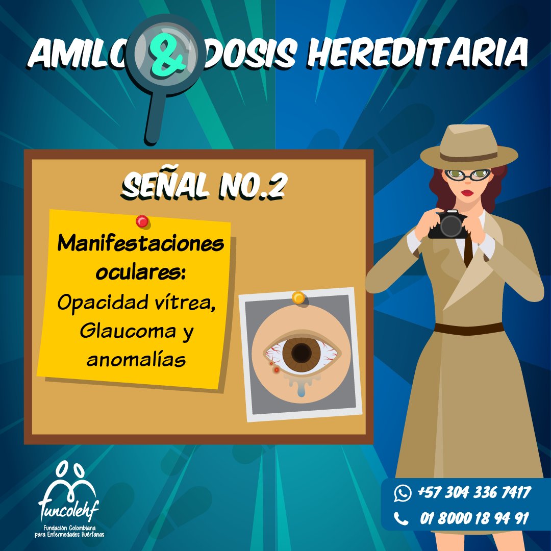 AmiloidosisCol's tweet photo. Los ojos también pueden dar señales: puntos negros en la visión, glaucoma, ojo rojo, dolor, visión borrosa, intolerancia a la luz o cambios en las pupilas. 
Estos hallazgos pueden asociarse a distintas enfermedades, incluida la #AmiloidosisHereditaria. 
💚
#FUNCOLEHF #Amiloidosis https://t.co/yecnDfkwuk