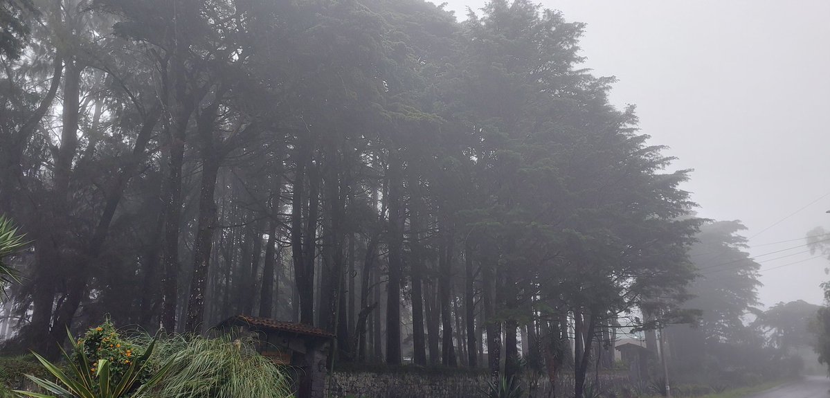 cloboprotti's tweet photo. Ha estado un poquito nublada y lluviosa la tarde al norte de Heredia. ☕️ https://t.co/ItTk5HlsZM