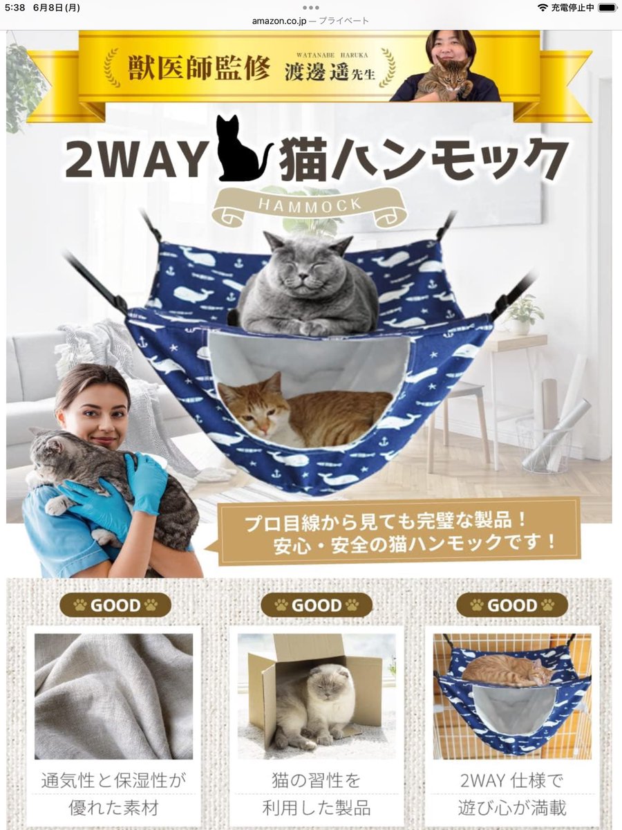 SOFTBALLINFO22's tweet photo. 2ヶ月位前に獣医師監修の2WAYハンモックを買ったけど、ようやく本日、中に入りました…😊

普通の猫は箱の中とか小さい隙間とか大好きだけど、ミルトは全く近寄らない…😅
警戒心の強い子なので中々入らないだろうとは思ってたけど…もう入らないだろうなと諦めた頃に入った…😊

#ミルトくん
#アビシニアン