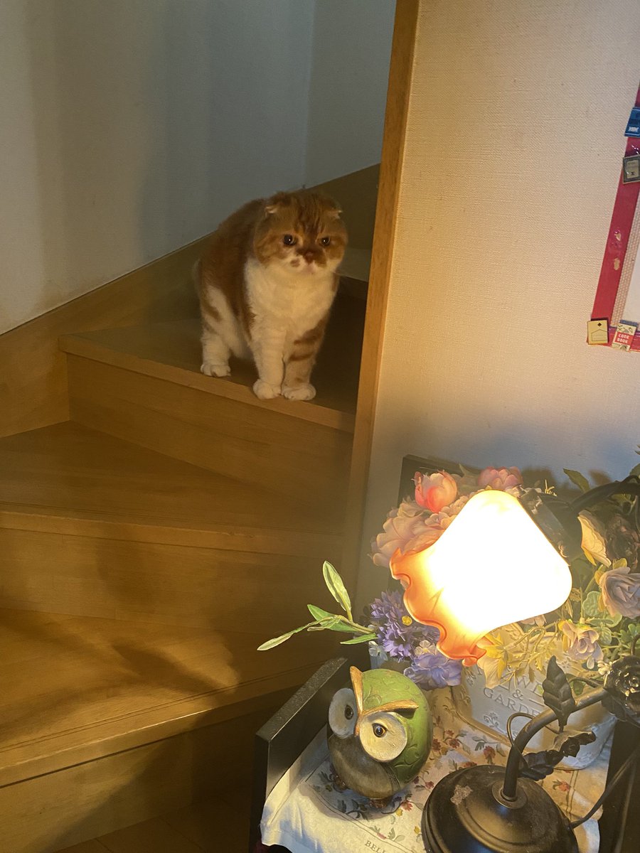 ponta_master's tweet photo. 絵のモデルさんですか？ https://t.co/scJSKK83hN