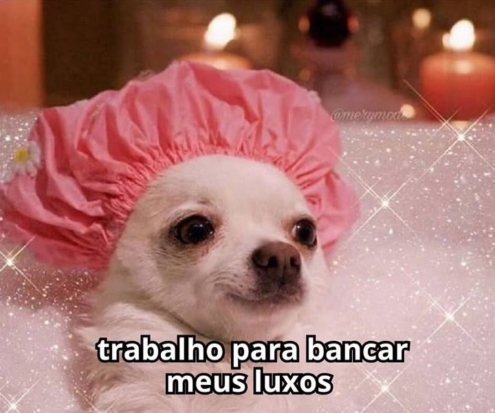 jiminelen's tweet photo. não tem nada mais satisfatório do que querer comprar algo e conseguir comprar com o suor do seu trabalho https://t.co/6zeVwUbOxs