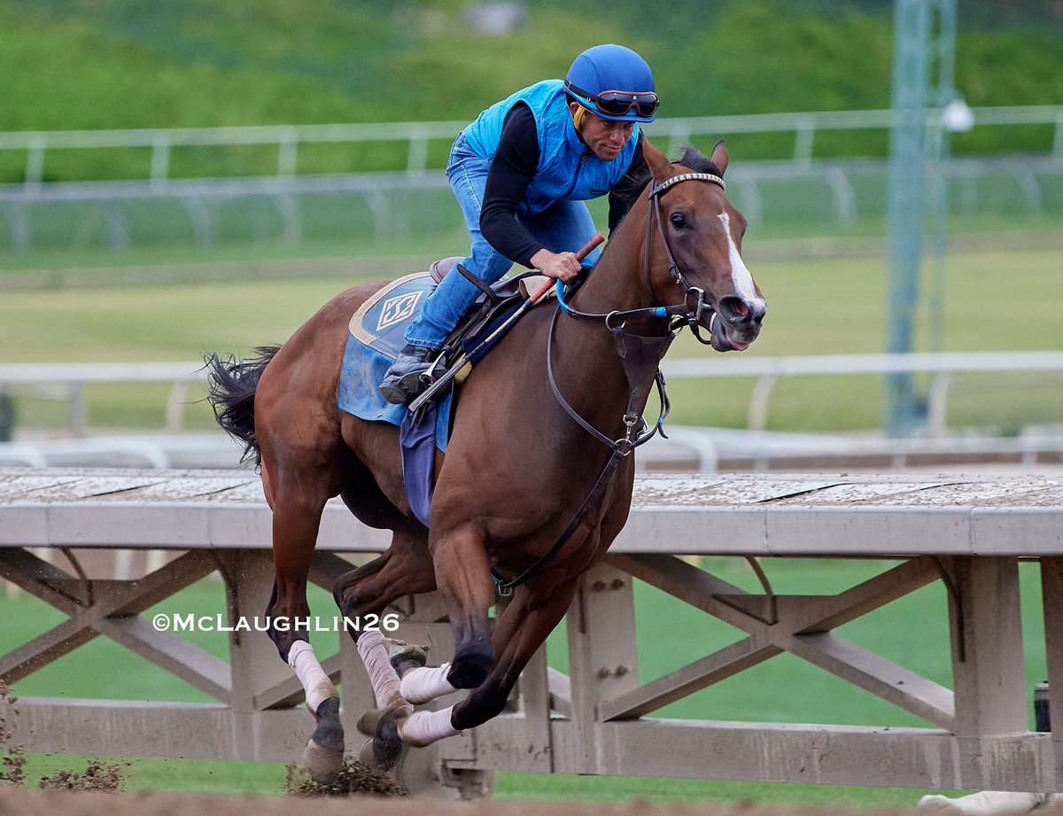 kimo16's tweet photo. Revera worked a half in 48.00 this morning under Joel Rosario for trainer John Sadler @santaanitapark @uracingstables @SoSRacingStable @sadlerracing @JRosarioJockey https://t.co/8Z9eCQJTDA