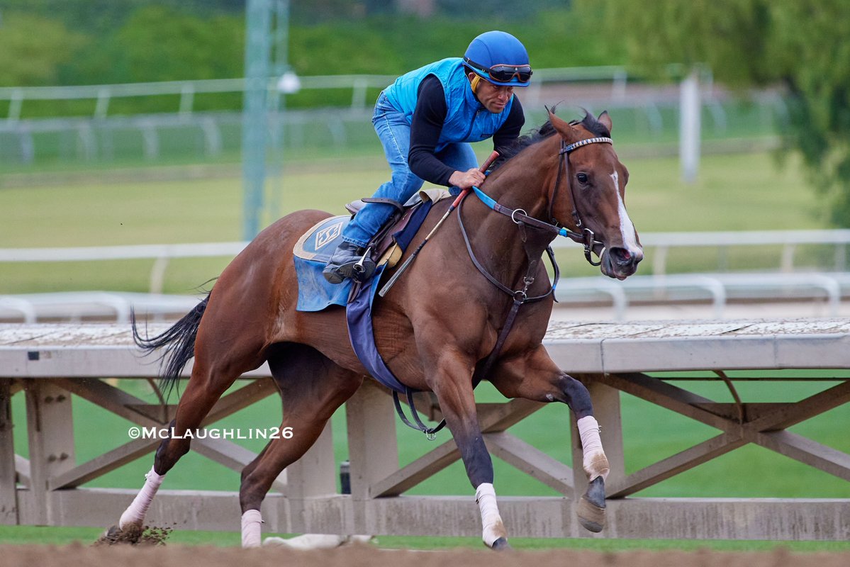 kimo16's tweet photo. Revera worked a half in 48.00 this morning under Joel Rosario for trainer John Sadler @santaanitapark @uracingstables @SoSRacingStable @sadlerracing @JRosarioJockey https://t.co/8Z9eCQJTDA