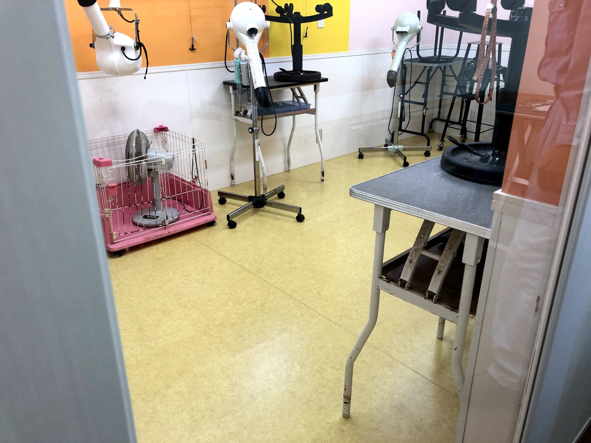 r732018's tweet photo. 🧼 美容室、ペット美容院の定期清掃

多くの理美容室・サロンが月曜定休日ですね。
その日に3〜6ヶ月毎にプロによる定期清掃をおすすめしています。

また、年中無休の店舗様には、開店前、閉店後の限られた時間を有効に使い、快適な美的空間をお届けします。

お客様をお迎えする大切な空間を、
「清潔で美しく、居心地の良い憩いのサロン」に保つことで、
スタッフの皆さまの働きやすさ、そしてお客様の満足度をさらに高めるお手伝いをさせていただきます。

🧽作業目安

内容、作業範囲に応じて異なりますが、主にガラス清掃と床メンテナンスであれば、平均3時間程度（午前中 or 午後）で完了します。

清掃業
定期清掃