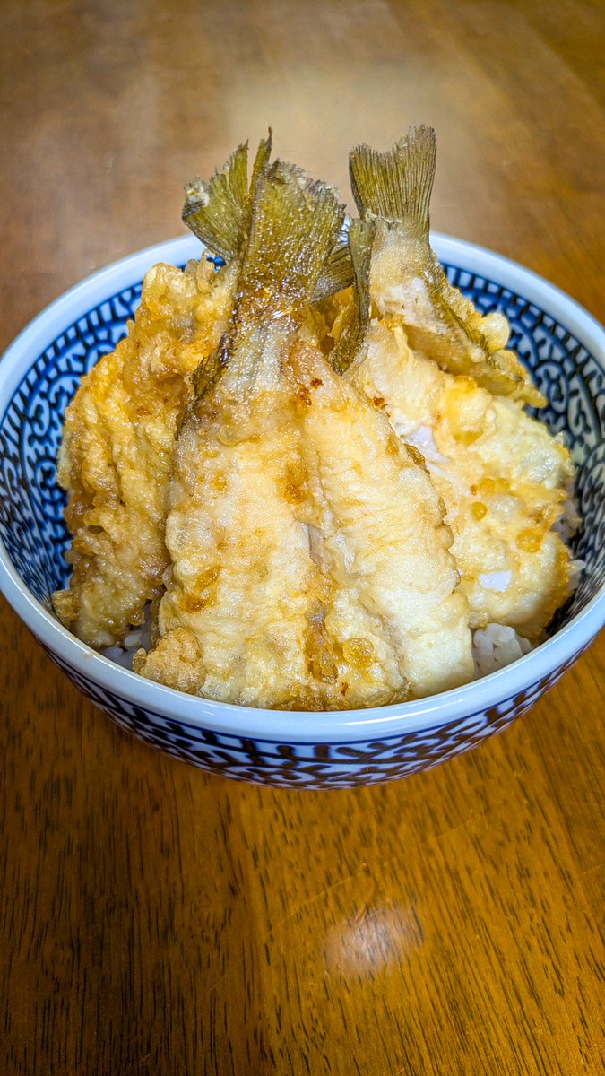 utage_jp's tweet photo. 江戸前鱚の天丼
天婦羅の発祥は江戸末期、近海で獲れた江戸前の魚介を使い、揚げ油にはごま油を使ったとされています。東京湾のシロギスを、ごま油でカリッと揚げ、サバ節と鰹節の一番出汁、鹿児島醤油、本みりん、ザラメのツユをかけました〰️😋
#天丼 #シロギス #釣り名人渡辺さん #風の谷農苑 https://t.co/Yk7uPVpPyN