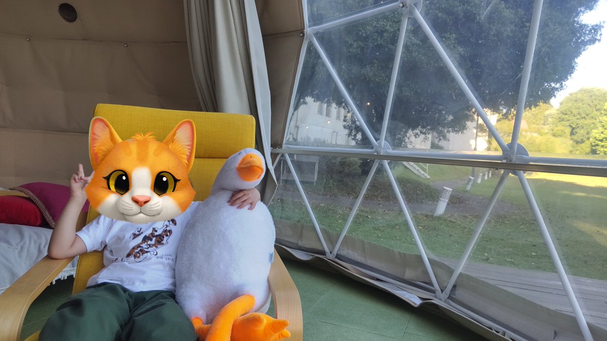 iroironaiyo's tweet photo. #本日のむすめさん⑦
宿泊したドームテント、思ったより広くて旅行感が高まりましたね。寝る前に布団はシワシワになってしまいましたがまぁ楽しいよね。こういうのは。 https://t.co/Xe574xYlin