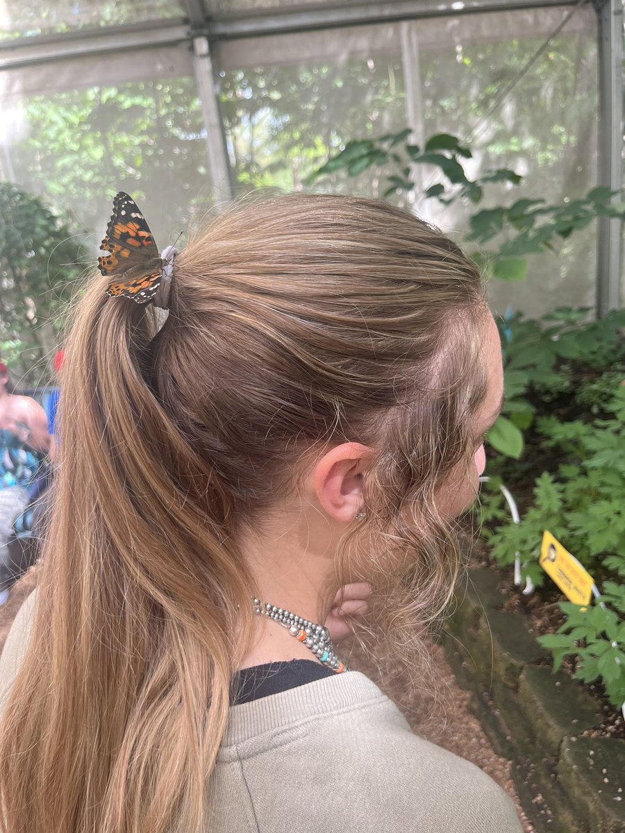 notcarson69's tweet photo. Went to the zoo this weekend https://t.co/3YtUGFZBiz