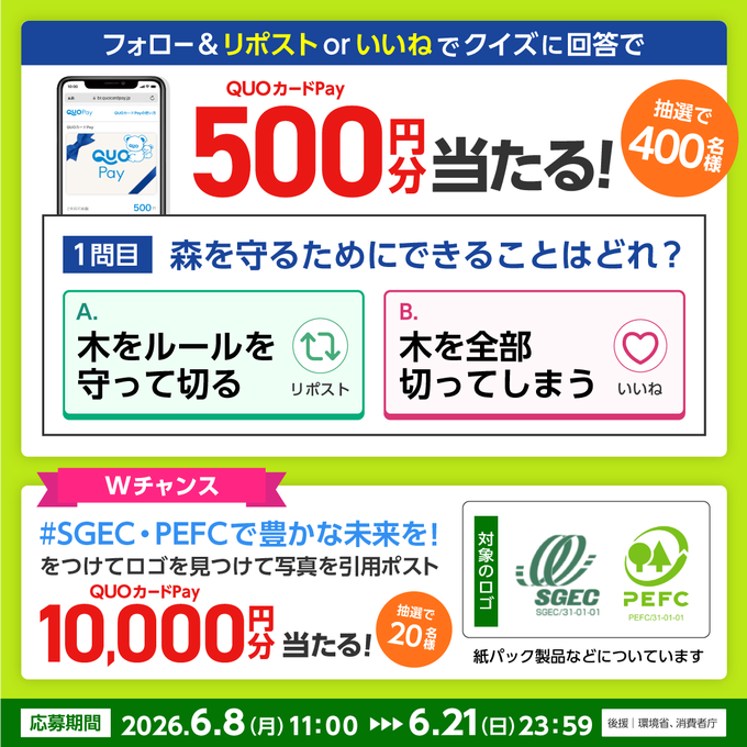 QUOカードPay1万円分　500円分