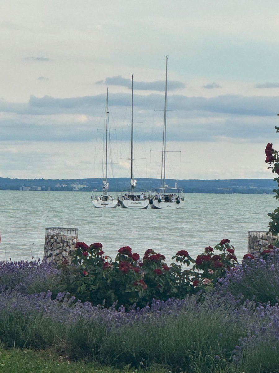 AGRACIAFORES's tweet photo. El fin de semana en el GP de Balaton ha sido plácido y tranquilo.El lago es espectacular,demasiado turístico quizás,pero el circuito es muy nuevo, y todavía no tiene tradición motera.Las carreras muy bien,han ganado los nuestros!! Comenzamos la vuelta, está vez por Austria https://t.co/dmE6VS3t0f