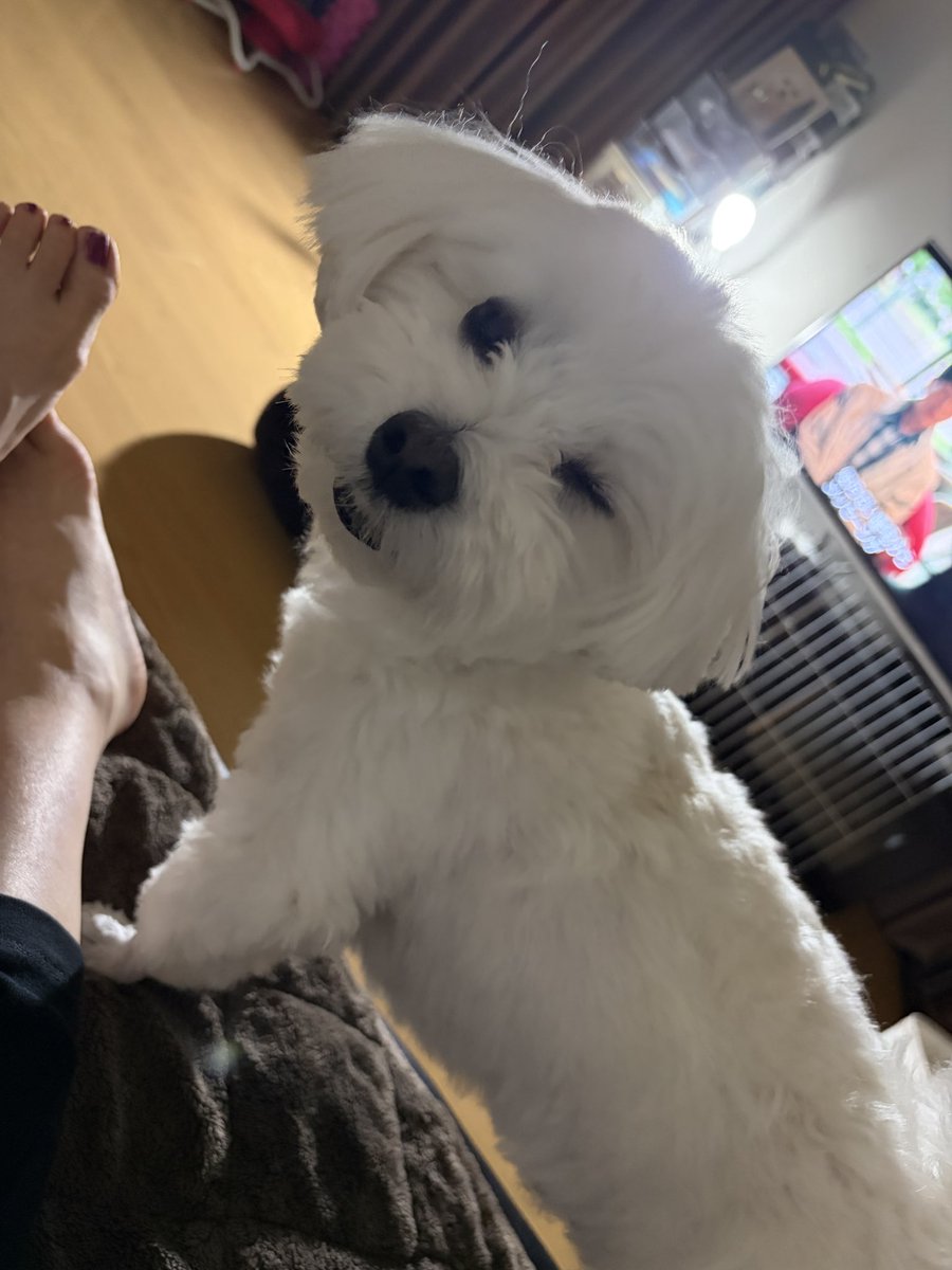 shinkometal's tweet photo. おはようございます♪
６月８日月曜日すっかりお腹もなおりました！よかった、当たり前に感謝です。
今日の新潟は☔️ですが心は晴天で
笑顔で前向きに銅をひろめていきます！
よろしくお願いします🙇
#コパドア　#新光金属 https://t.co/31kJfBJrSb