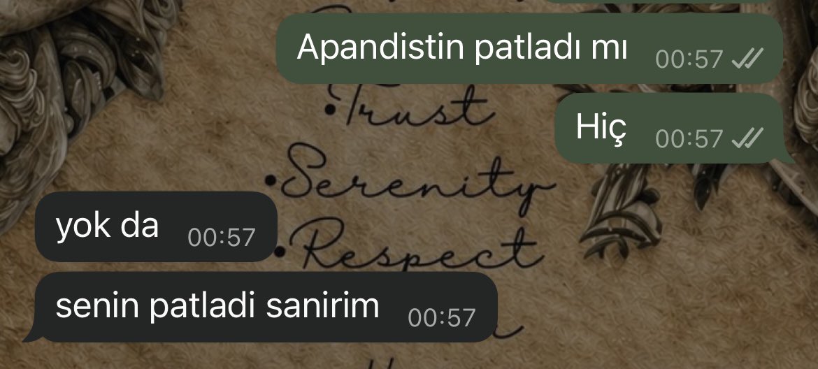 Pararbol's tweet photo. Annemin anlık kriz soruları https://t.co/R4woHC3qi9
