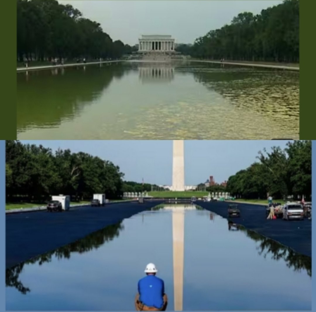 WendysSilver's tweet photo. @royermattw Dems love that swamp green, reflecting their inner soul. https://t.co/jIdppEpe8u