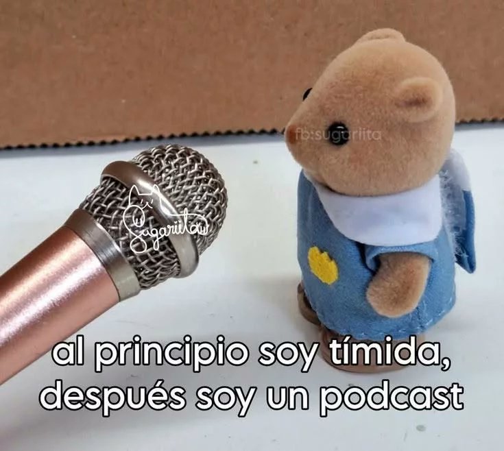 fefe VA A VER A SKZ🇦🇷 tweet media