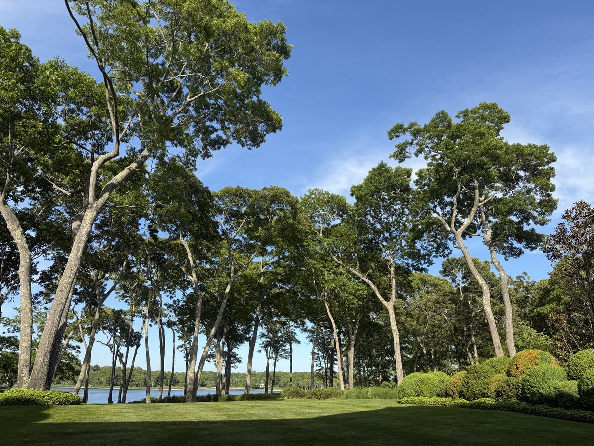 thelandofmaple's tweet photo. @silverFux77 @Donato912277830 Ito lang naman ang view ng backyard ko right now https://t.co/yBnmUWyFHx