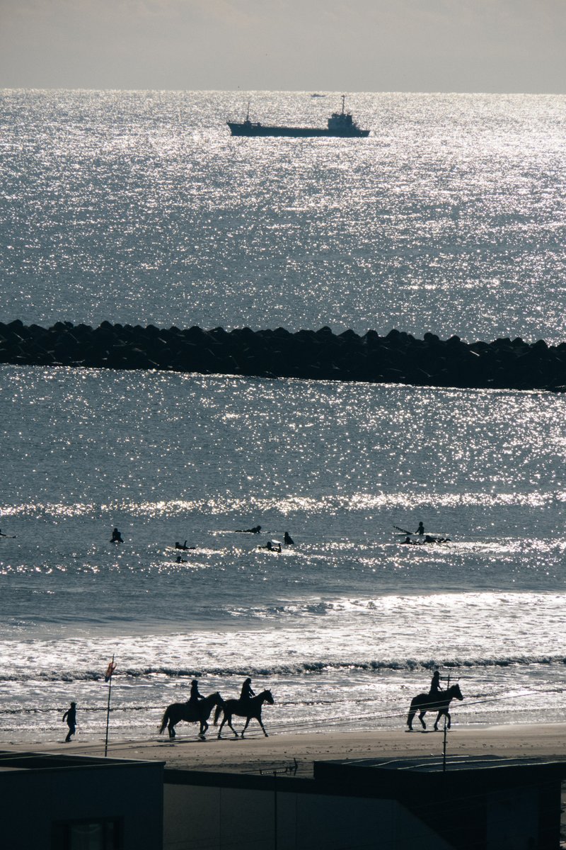 SEEINGPHOTOS's tweet photo. 朝の最初の陽射し 5/6

2015年12月
涸沼～大洗

Canon G3X
8.8-220.0mm F2.8-5.6 IS USM https://t.co/mhLTjdivPl