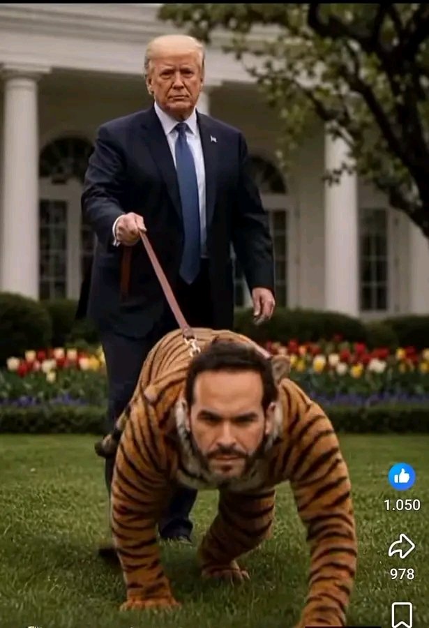 Eclides3's tweet photo. Qué verguenza mundial!
El juvenil corista traqueto se convirtió en un picaro que  robó a sus clientes, atesoró dineros de dudosa procedencia gracias a  amistades con paracos y narcos. Recibe dinero de Trump para vender los recursos naturales de Colombia y llena de odio al pueblo. https://t.co/lrGTqOWTYI