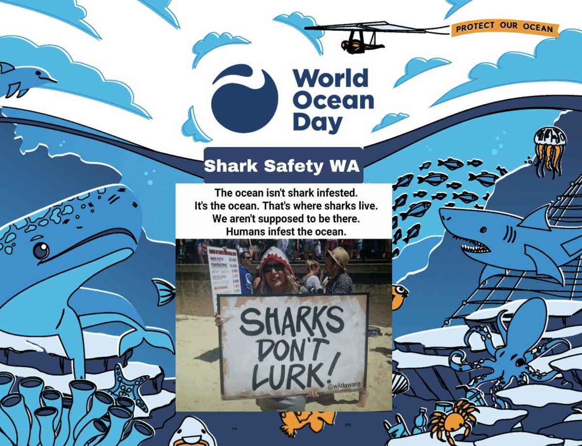 SharkSafetyWA's tweet photo. https://t.co/FgT7dZo7my