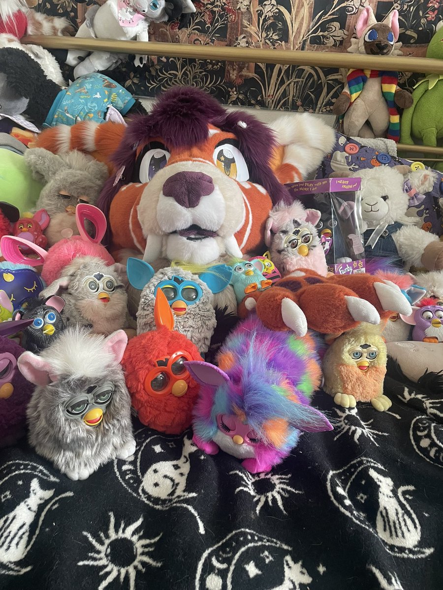 GrumpPng's tweet photo. I love my little serotonin creatures, and trust them with all my life’s secrets which they protect with their lives (and souls)
My army must grow every other month or else I’ll wither away 💖🤧
#fursona #furryfandom #furby #fursuitfriday #fursuit https://t.co/syxb69R3zR