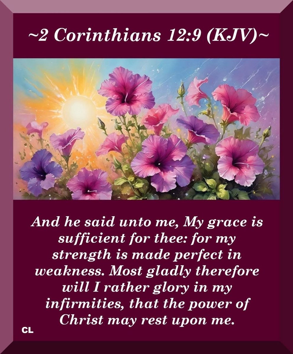stephstyrc's tweet photo. Have a safe and blessed day/night, my brothers and sisters!

*JesusChrist4Life! https://t.co/u916S4TDBn