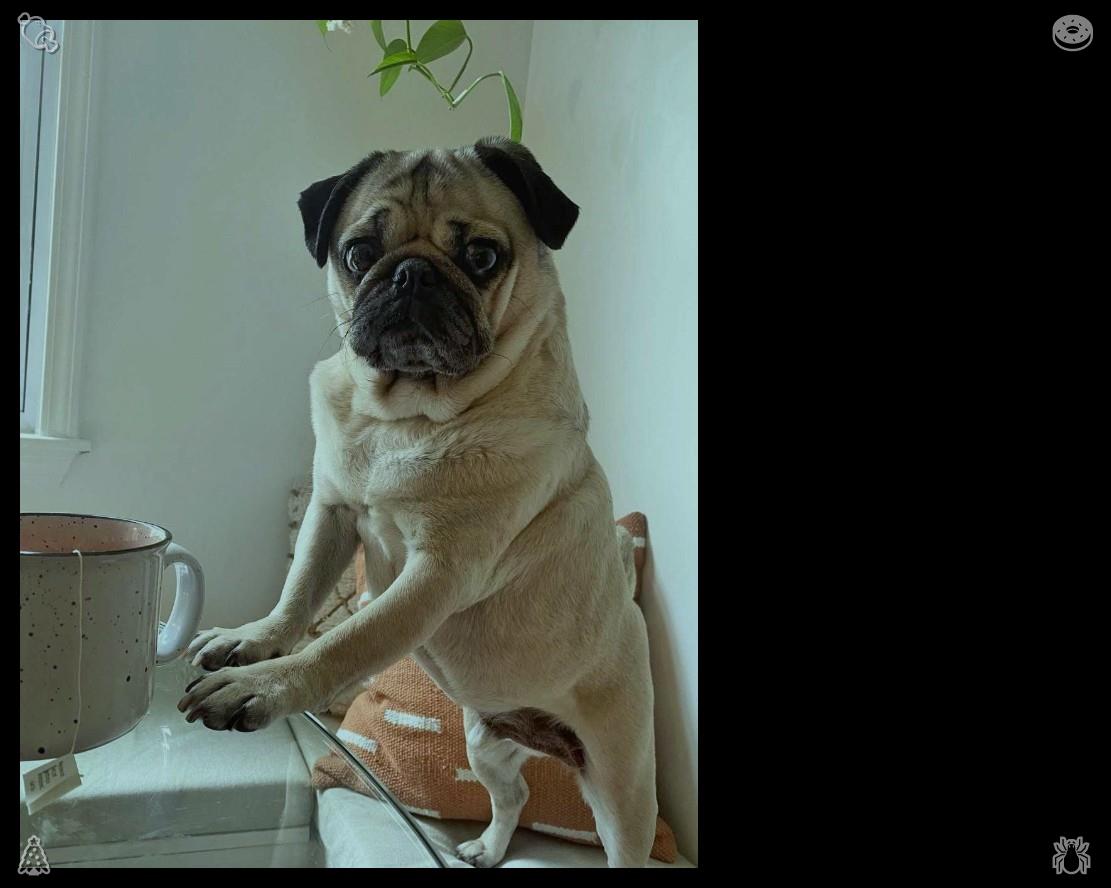 iochieng18's tweet photo. A cat sat on the windowsill. A ripe tomato rested nearby. Lola smiled and nodded. “That sounds perfect. What about Saturday morning? We’ll get coffee first, then head out for pictures. I’ll bring my Polaroid camera so we can create some memories.” https://t.co/Wjwqx6gxyj