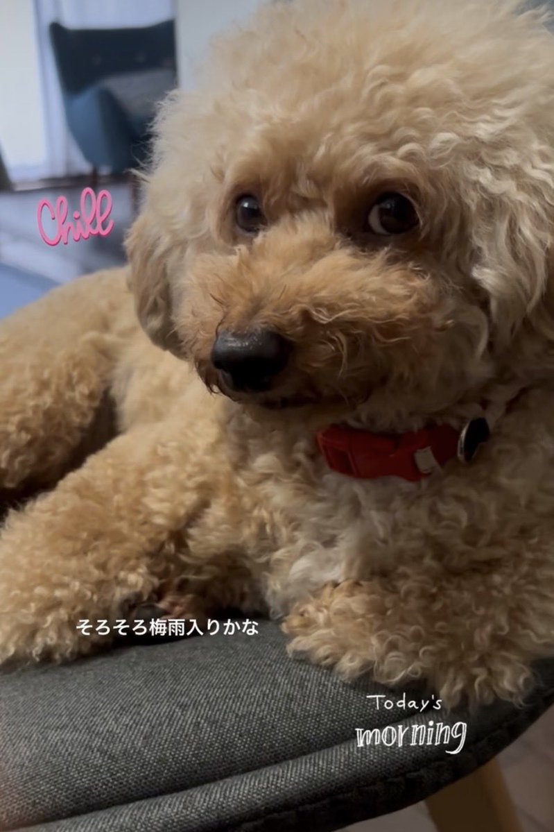 TOTALLIFEFP's tweet photo. おはようございます😃

ご無沙汰ててくん🐶です

何しても可愛いので
今週もよろしくお願いします🤲😊

ありがとう🤭 https://t.co/vC5nwzc2qs