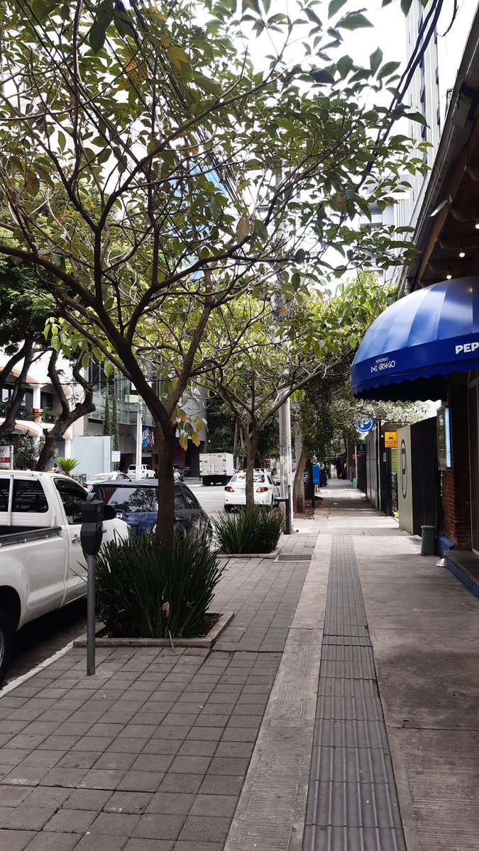 miely_xi's tweet photo. Fue una linda y muy tranquila tarde... ✦˖ ݁ https://t.co/clEqBRiNUA