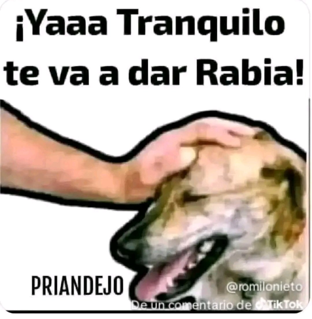 elperronperron's tweet photo. @DanteBobadilla https://t.co/i4w9GtHhFr