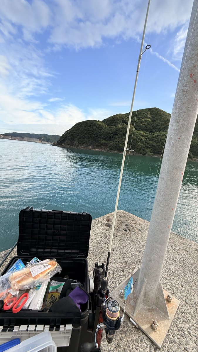 pudding5900's tweet photo. イカイカ〜居ないね〜🦑
#エギング https://t.co/cGNhtXO8Nw