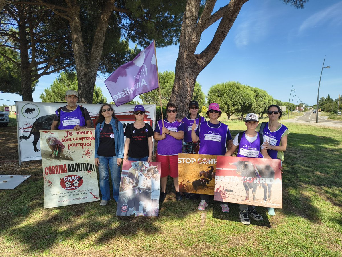 BILLESJacqueli2's tweet photo. Ce samedi 6 juin le PA était aux côtés du @CRAC_Europe @AllianceEthique  et @Set'Animalistes de Thau à Mauguio pour manifester contre la tenue d'une novillada. De nombreux automobilistes ont klaxonné pour nous soutenir 🙏 https://t.co/vj1Q5Rz7iD