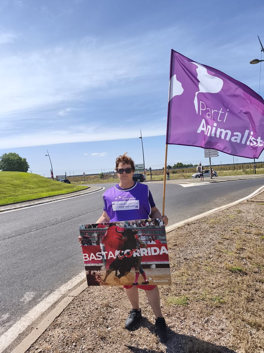 BILLESJacqueli2's tweet photo. Ce samedi 6 juin le PA était aux côtés du @CRAC_Europe @AllianceEthique  et @Set'Animalistes de Thau à Mauguio pour manifester contre la tenue d'une novillada. De nombreux automobilistes ont klaxonné pour nous soutenir 🙏 https://t.co/vj1Q5Rz7iD