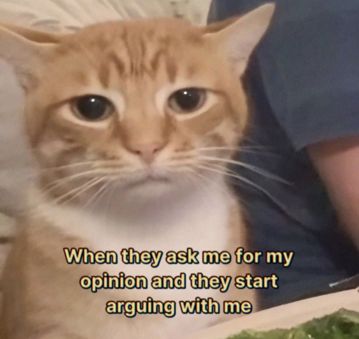 literallymecats's tweet photo. https://t.co/7mgEz9Wjit