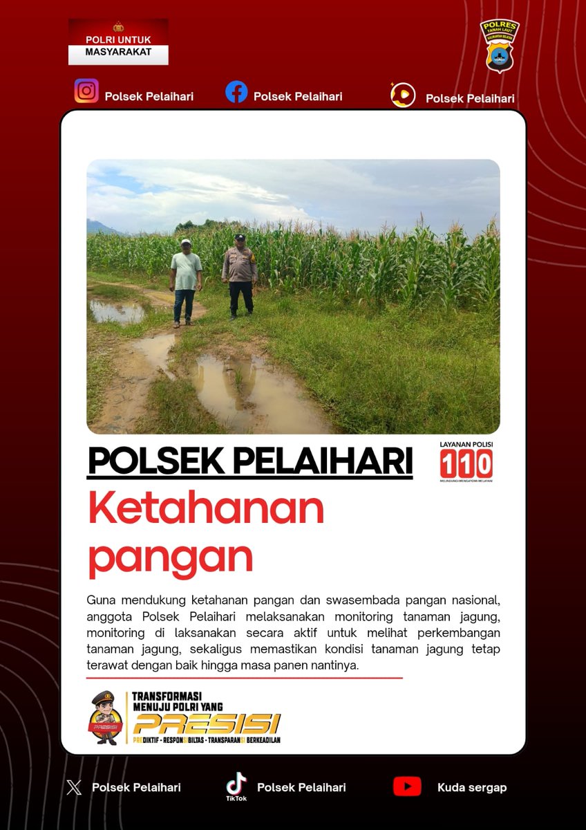 POLSEK_PLH's tweet photo. Monitoring tanaman jagung #polsekpelaihari #ketahananpangan #swasembadapangan https://t.co/1AxLkWbf6Z