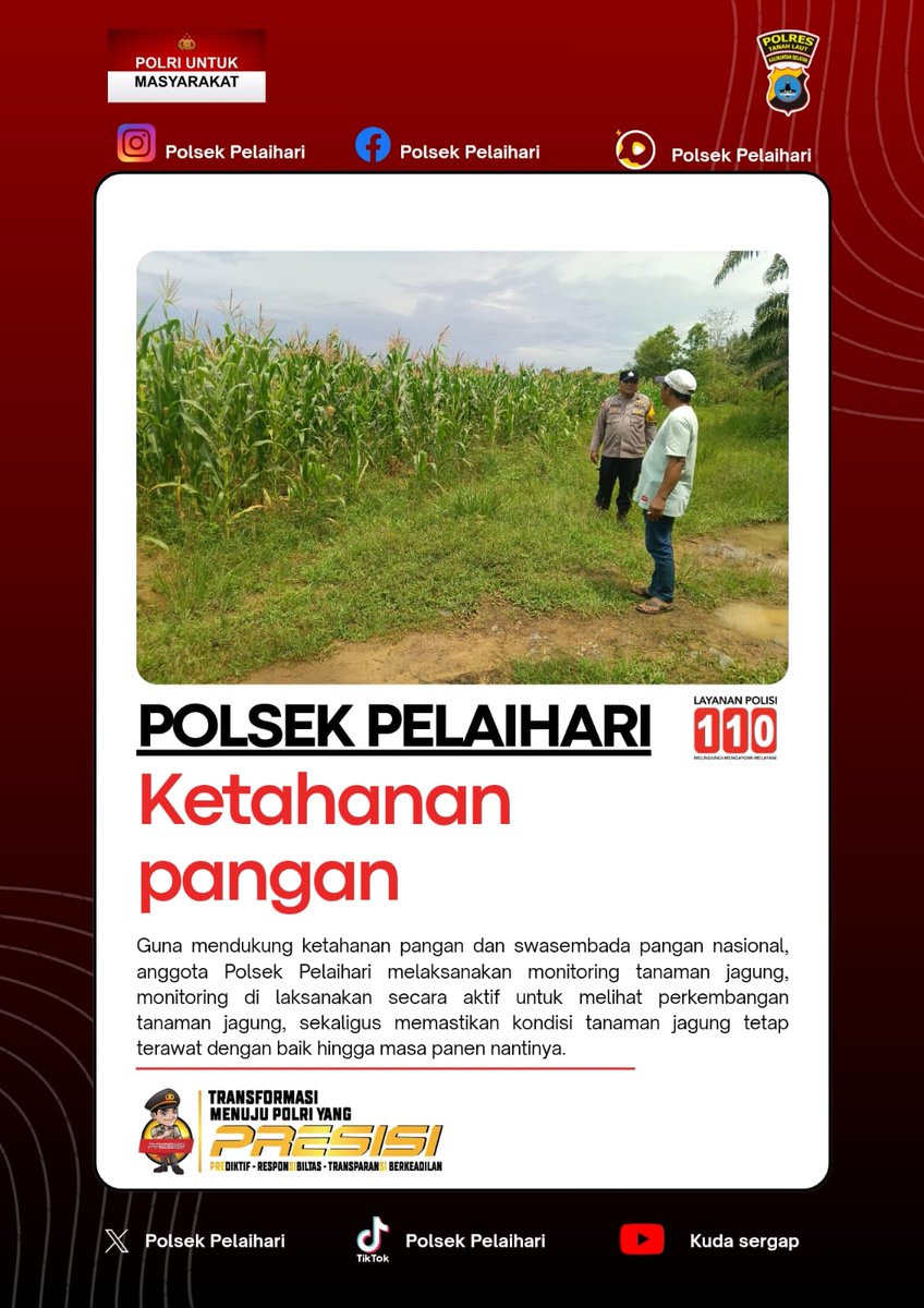 POLSEK_PLH's tweet photo. Monitoring tanaman jagung #polsekpelaihari #ketahananpangan #swasembadapangan https://t.co/1AxLkWbf6Z
