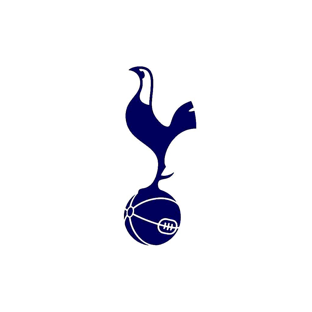 HotspurReports. tweet media