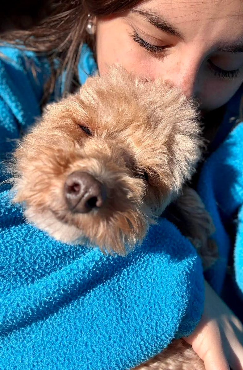 elcampito's tweet photo. El mejor plan de domingo: ver fotos de nuestros ex camperitos rodeados de tanto amor. 🥰🏡

Gracias a las familias que les cambiaron la vida.
➡️ Vos también podés cambiar una historia en: https://t.co/JR2yOnMvzr https://t.co/4g8NAQihza