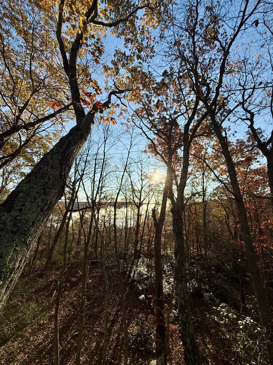 ShahidCPA's tweet photo. Smartphone photography is real photography!

Share a photo captured with your phone!📱 https://t.co/2qTnCqn8OZ