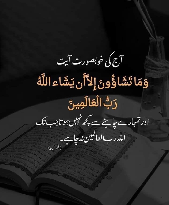 SajidParhyaar's tweet photo. صبح بخیر پاکستان ✨️🇵🇰
صَلَّیٰ اَللّٰہ عَلَیّہِ وَآلِہِ وَسَلِّم⁦ 
#جی_بی_کا_فیصلہ_عمران_خان #صباح_آلخيــــر https://t.co/9BXbyxZx1T