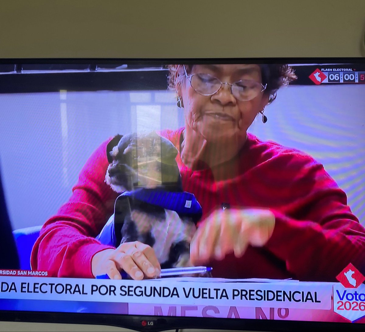 techyxf's tweet photo. Lo único lindo de estas elecciones ❤️🐶 
#EligeBien2026 https://t.co/9OiWW8v3kp
