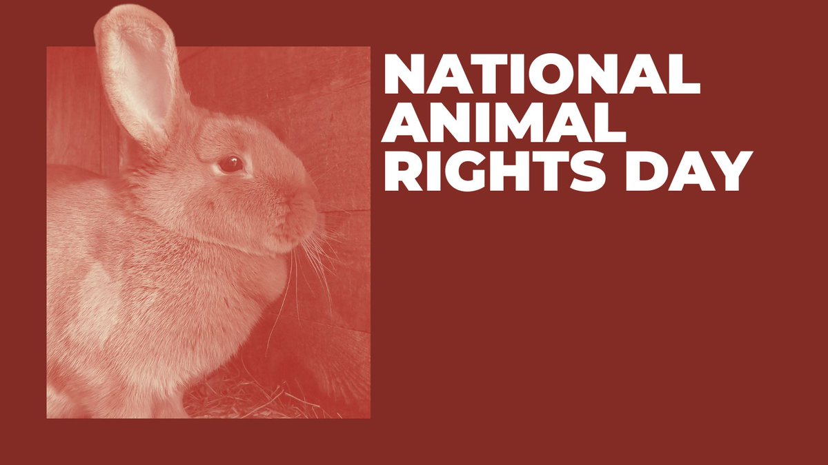 MIAttyGen's tweet photo. National Animal Rights Day acknowledges the billions of animals that die each year by human hands. Let’s work to end the suffering of animals. Let’s fight for them because they can’t fight for themselves. #NARD https://t.co/AiBUEcYVNU