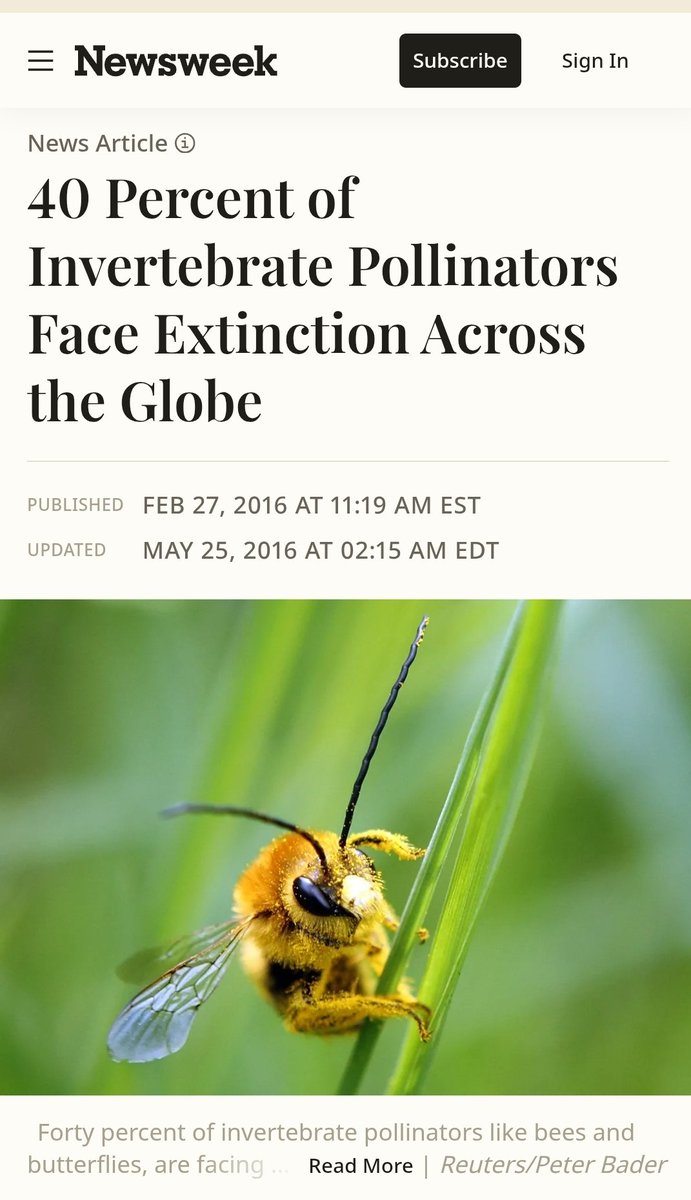 ClimateBen's tweet photo. icymi:  one sixth to one fifth of all Earth's species are now critically endangered https://t.co/WvBz9tuiAa