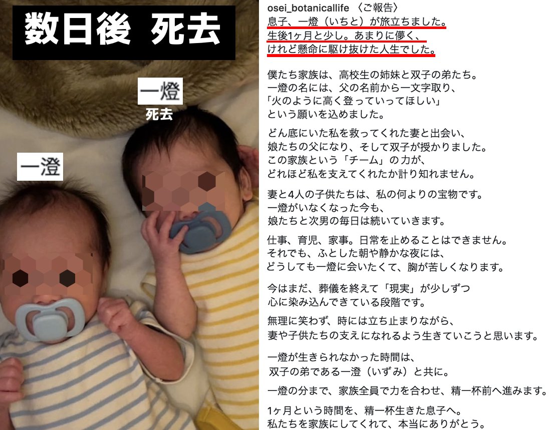 藍染ガレソの悲報 tweet media